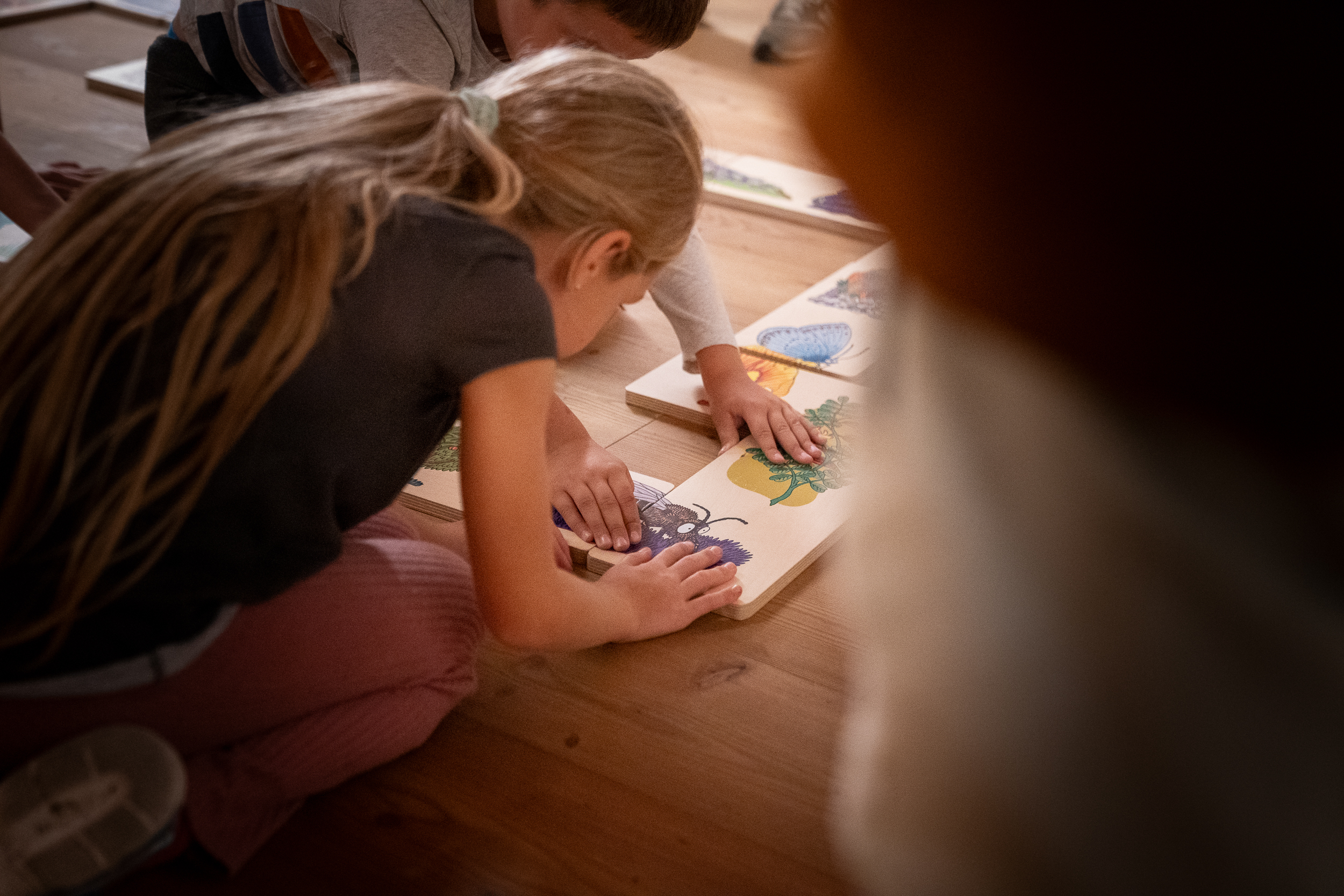 Image dillustration 6