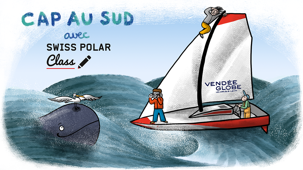 Cap au Sud, une activité inédite par Swiss Polar Class